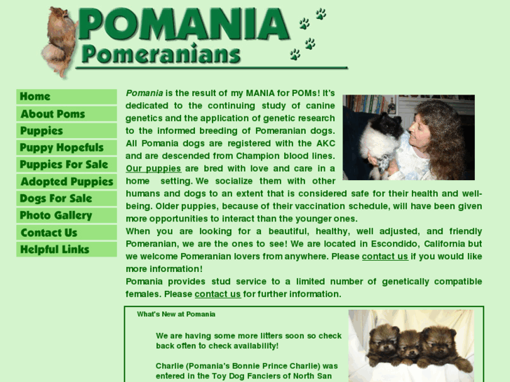 www.pomania.net