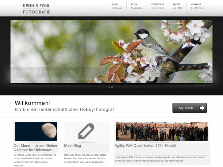www.dennis-pohl.net