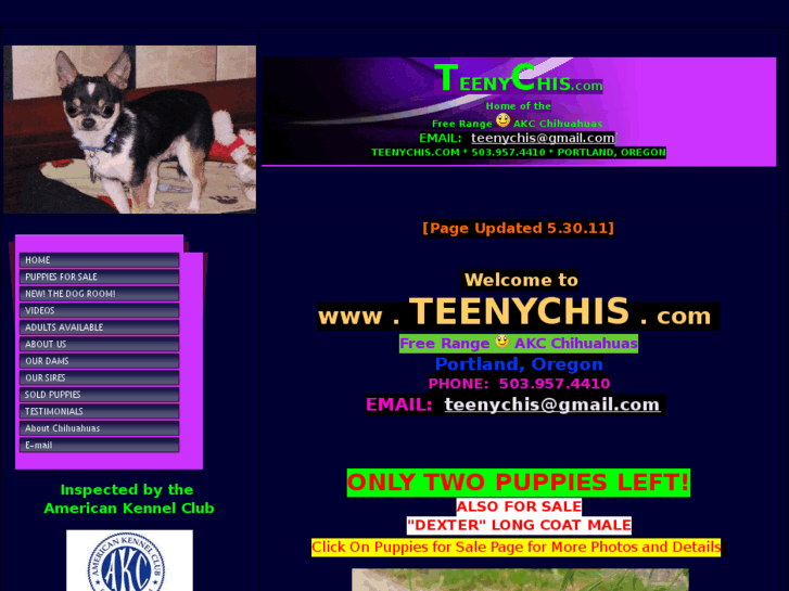 www.teenychis.com