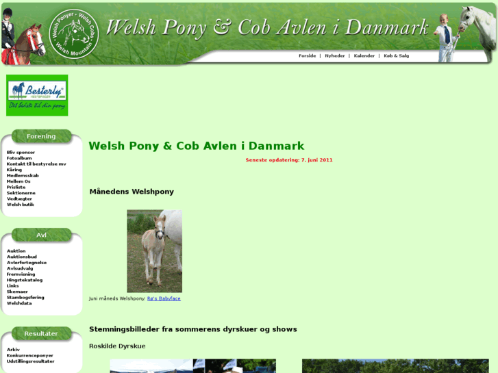 www.welshponyer.dk