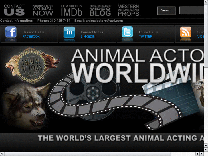 www.animalactorsofcalifornia.com