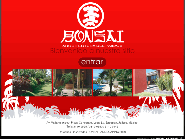 www.bonsai-landscaping.com