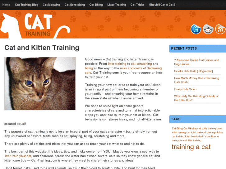 www.cat-training.com