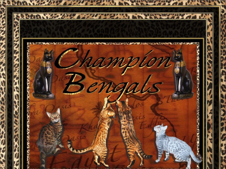 www.championbengals.com