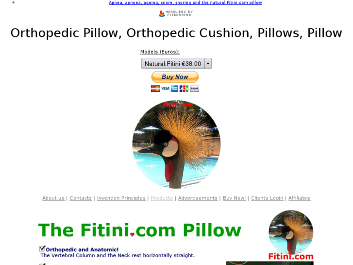 www.orthopedic-cushion.com