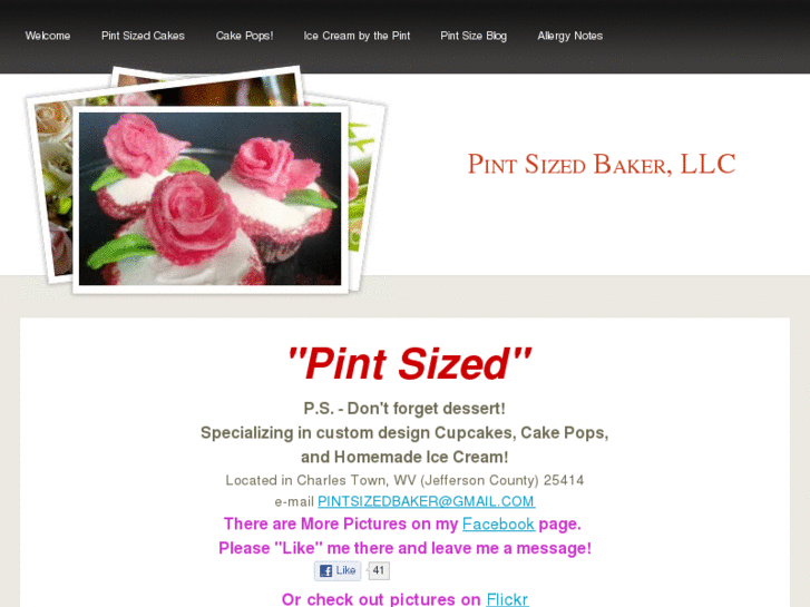 www.pintsizedbaker.com