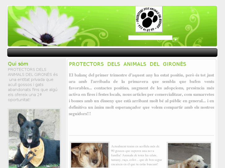 www.protectoragirones.com