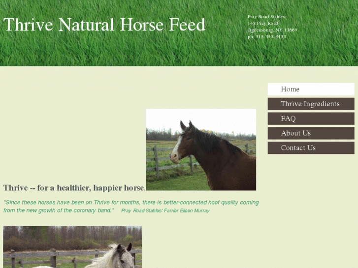 www.thrivenaturalhorsefeed.com