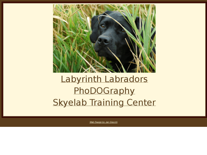 www.labyrinthlabradors.com