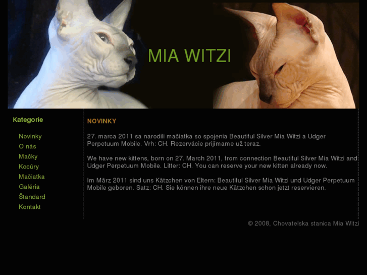 www.miawitzi.com