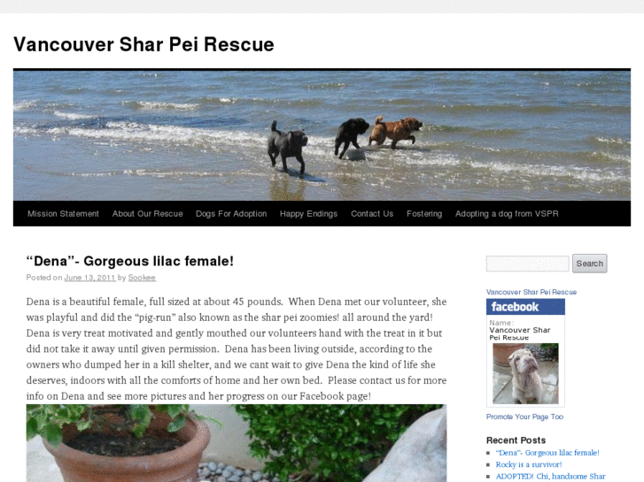 www.vancouversharpeirescue.com