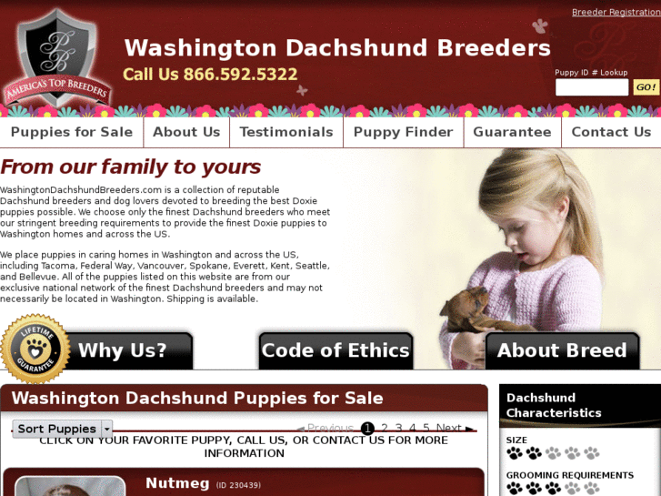 www.washingtondachshundbreeders.com