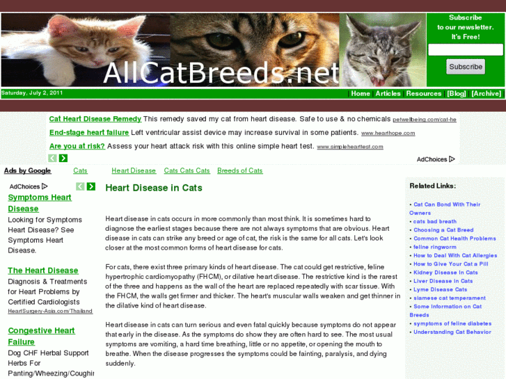 www.allcatbreeds.net