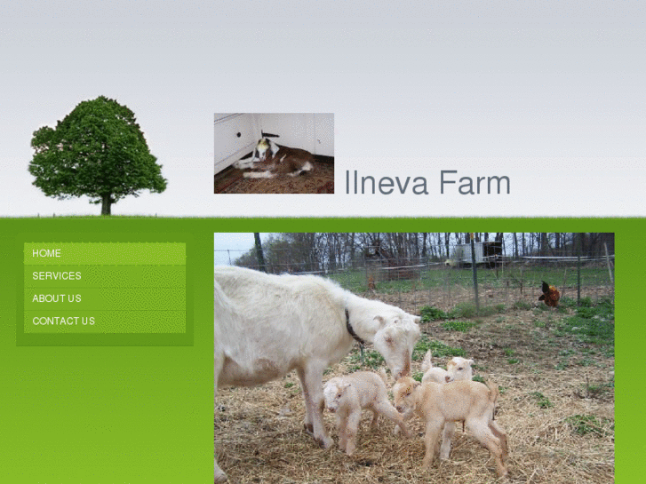 www.ilnevafarm.com