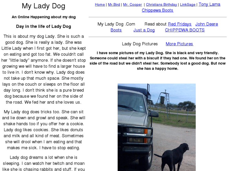 www.myladydog.com