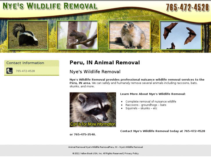 www.nyeswildliferemoval.com