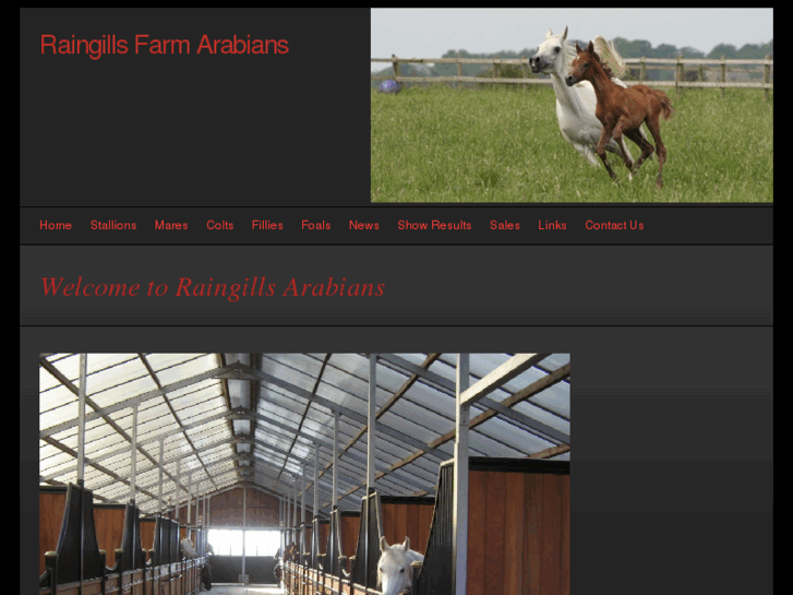 www.raingills-farm-arabians.com