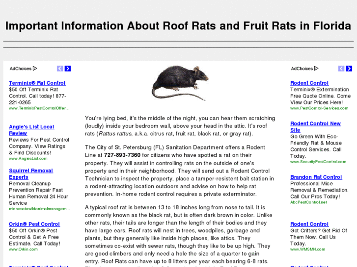 www.ratsinflorida.com