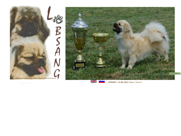 www.tibetan-spaniel.net