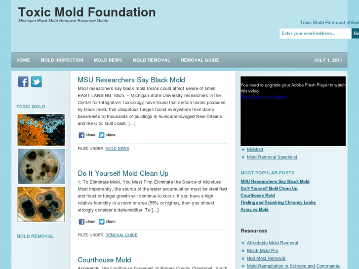 www.toxicmoldfoundation.com