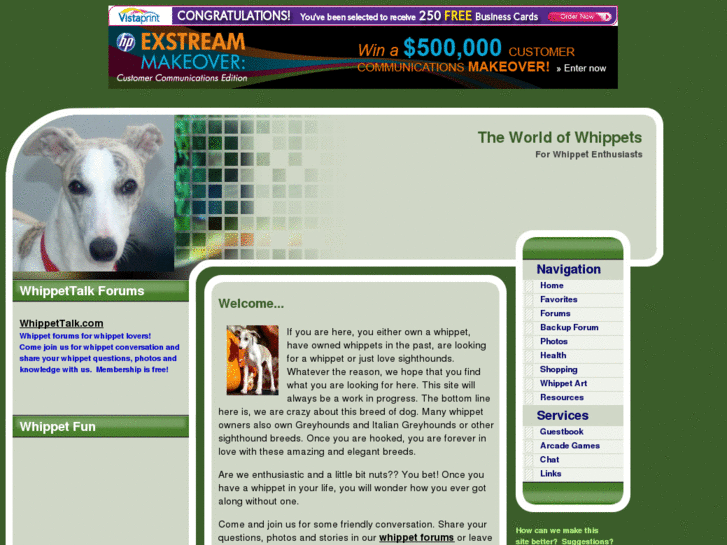 www.worldofwhippets.com