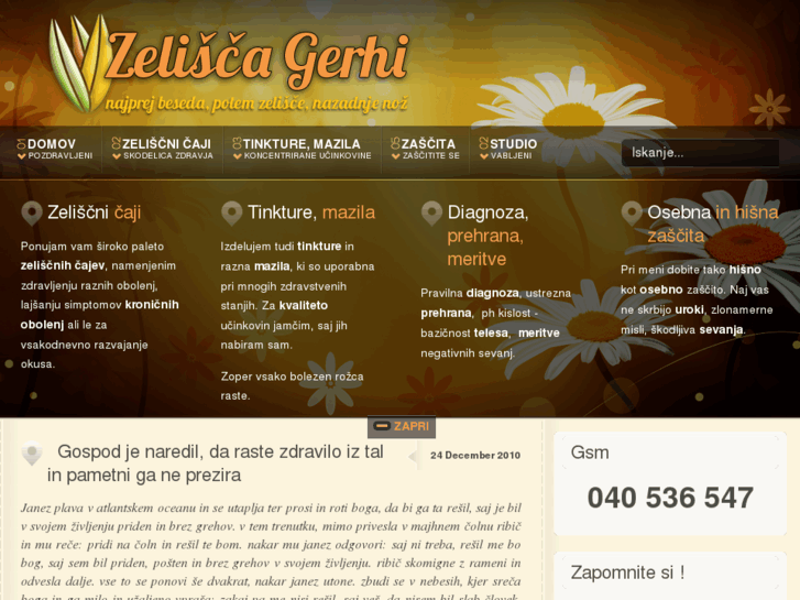 www.zelisca-gerhi.info