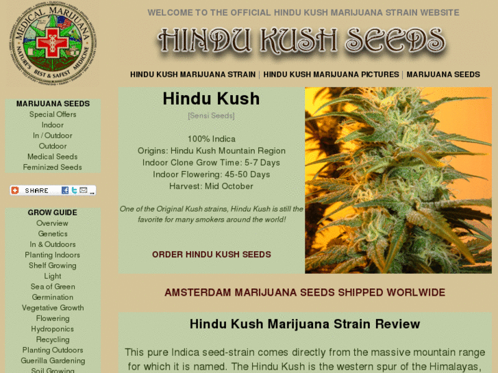 www.hindukushseeds.com