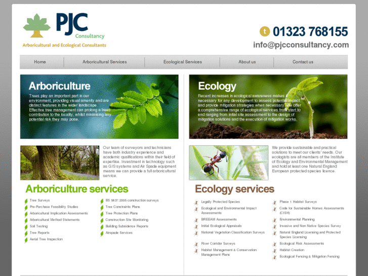 www.pjcconsultancy.com