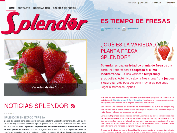 www.splendor.es