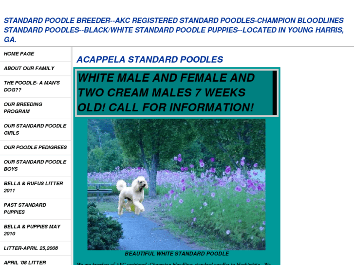 www.acappelastandardpoodles.com