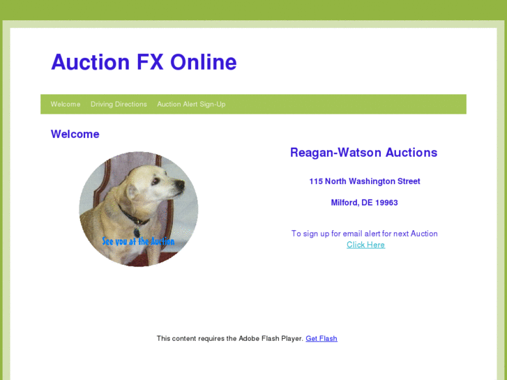 www.auctionfxonline.com