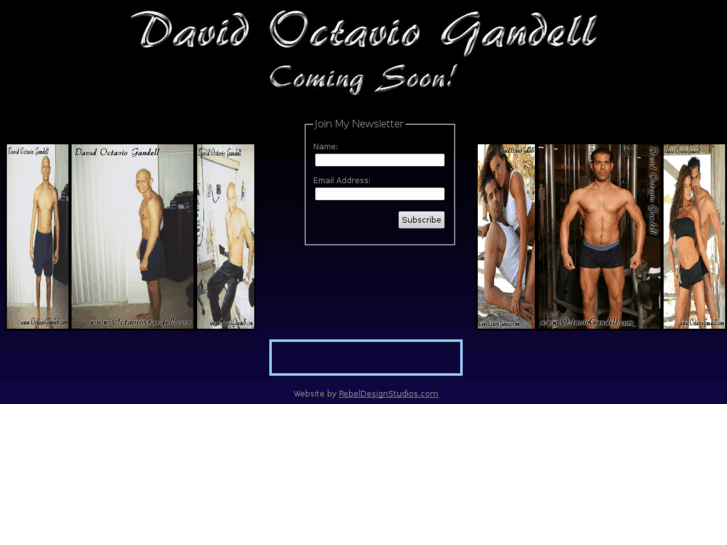 www.octaviogandell.com