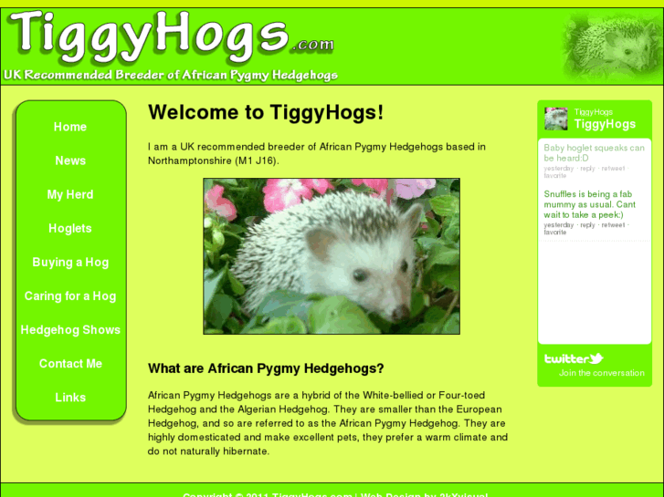 www.tiggyhogs.com