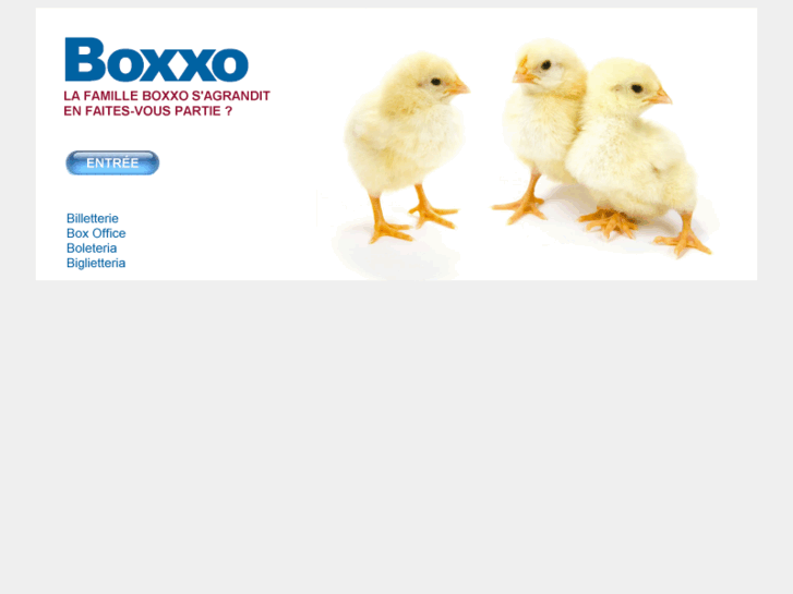 www.boxxo.net