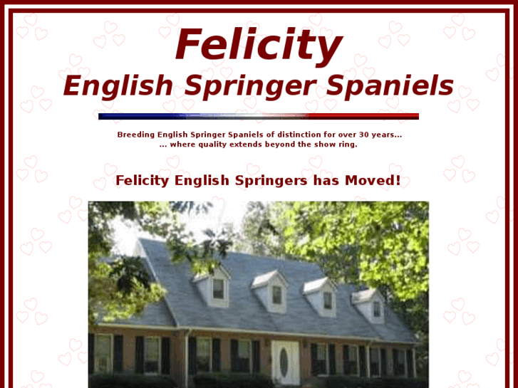 www.felicityenglishspringers.com