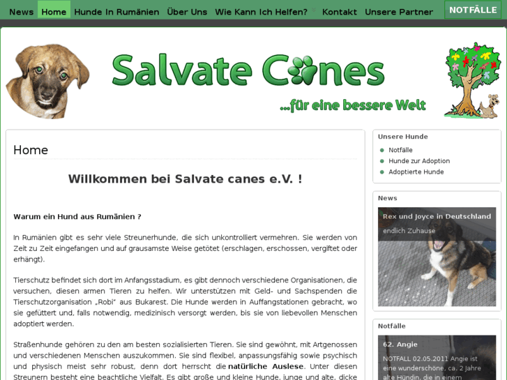 www.salvate-canes.de