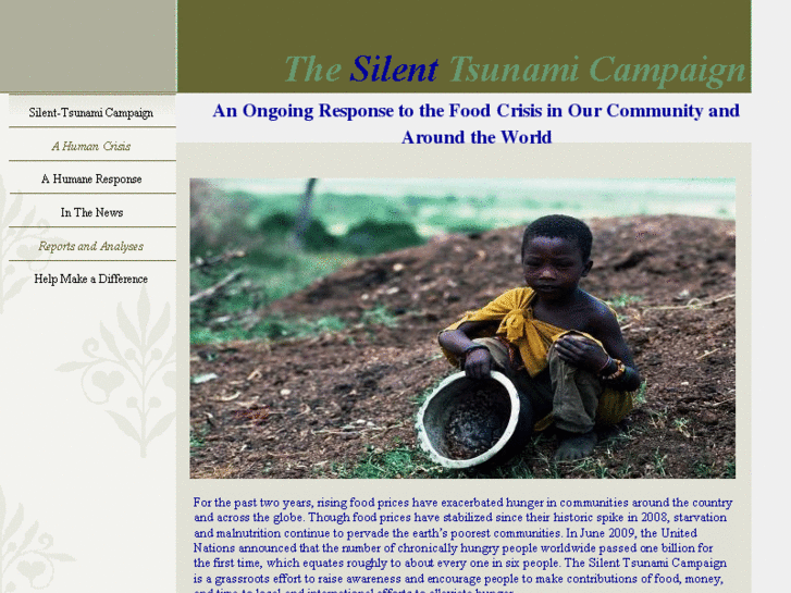 www.silent-tsunami.org