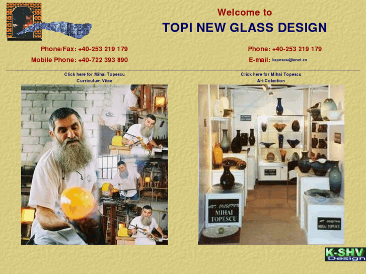 www.topiglass.com