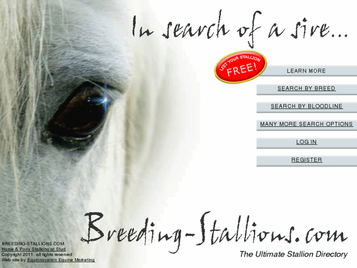 www.breeding-stallions.com