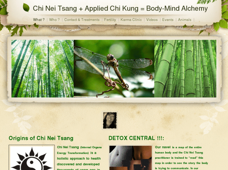 www.chikungtherapy.net