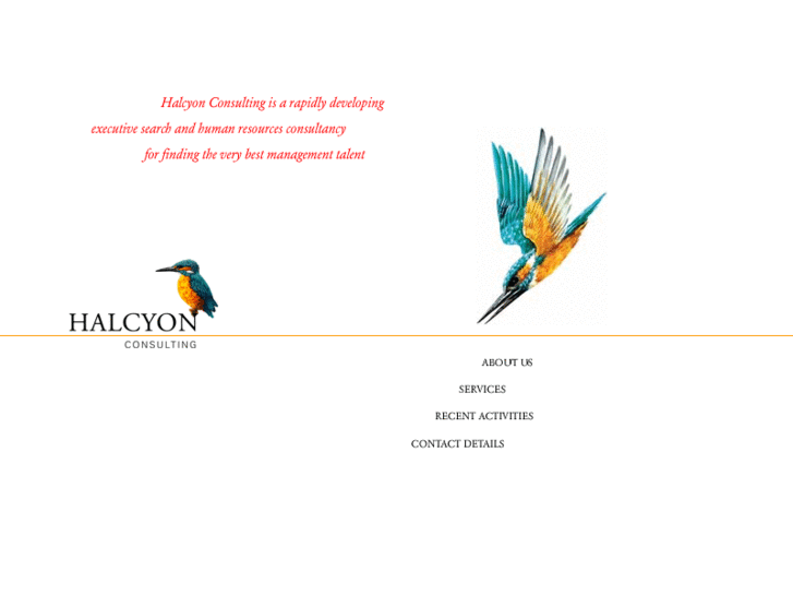 www.halcyon-consulting.com