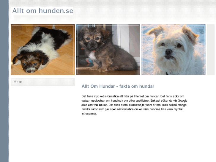 www.alltomhunden.se