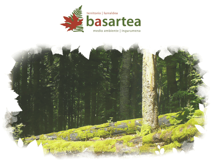 www.basartea.com