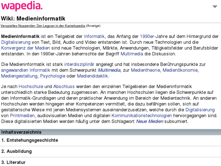 www.medieninformatik.mobi