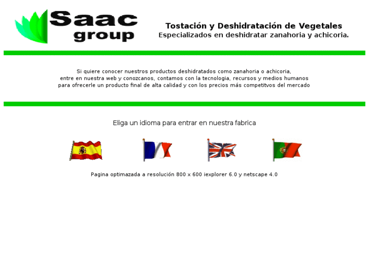 www.saaciberica.com