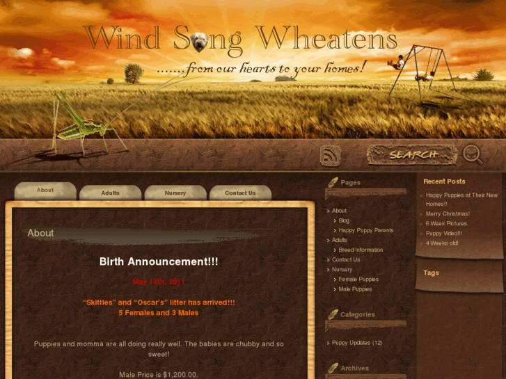 www.windsongwheatens.com