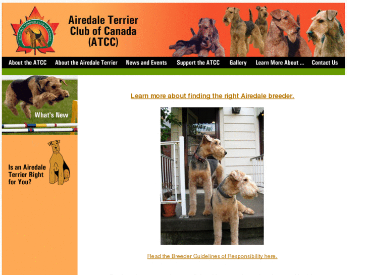 www.airedaleterrier.ca