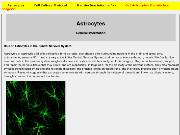 www.astrocyte.info