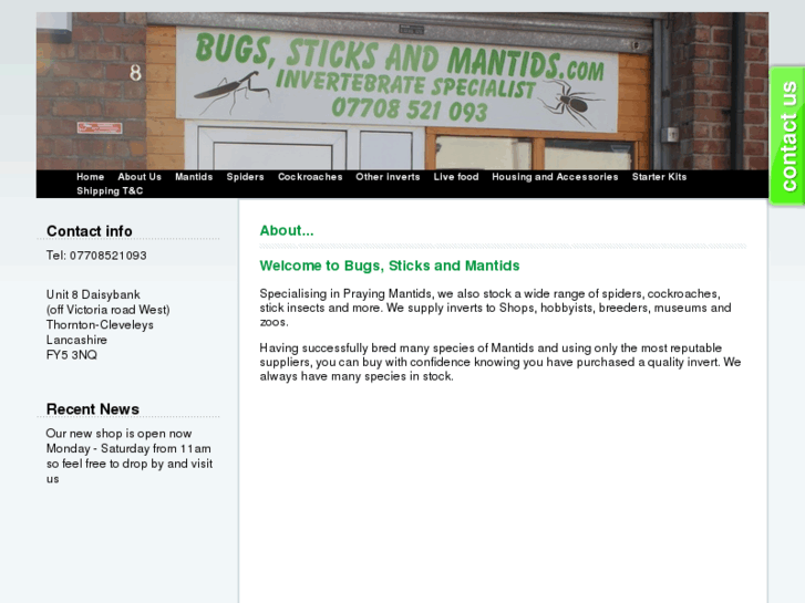 www.bugssticksandmantids.com