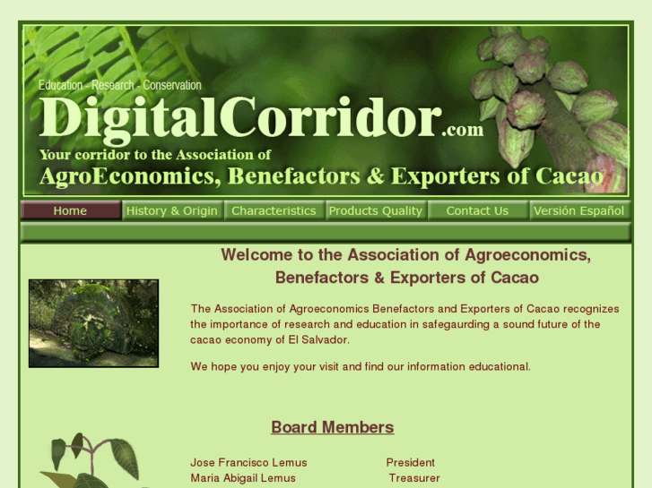 www.digitalcorridor.com